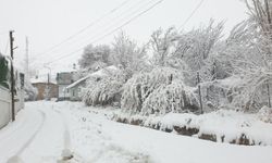 Van kışa merhaba dedi, kent beyaz örtüyle kaplandı! İşte kar manzaraları…