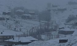 Hakkari’de 43 yerleşim yerinin yolu ulaşıma kapandı