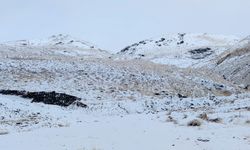 Kış Van’a doğru yol aldı geliyor!