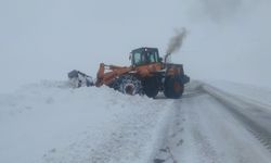 Van, Karabet Geçidi'nde kar temizleme çalışması devam ediyor