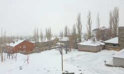 Van’da kar yağışı: Yüzlerce yol ulaşıma kapandı!