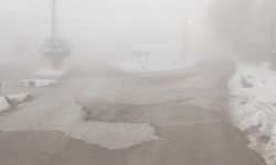 Başkale'de sis etkili oldu