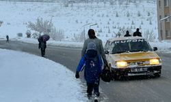 Van’da kar yağışı günlük hayatı felç etti!