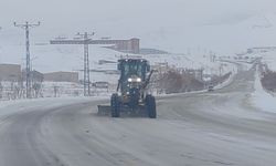 Van'da 90 mahalleye ulaşım sağlanamıyor!