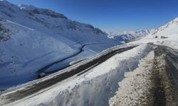 Van-Bahçesaray yolu ulaşıma açıldı