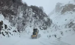 Son Dakika! Çığ düştü: 3 çoban çığ altında kaldı