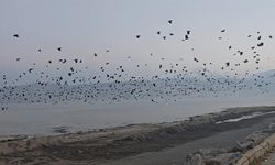 Van Gölü semalarında sıra dışı manzara!