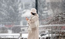 Tarih verildi: Van’da kar yağışı etkili olacak
