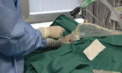 Hastaları zehirleyerek öldüren sağlıkçının cezası belli oldu!