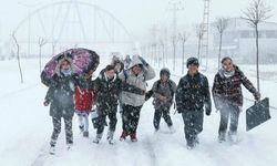 Van’da yarın okullar tatil mi? Resmi açıklama yapıldı mı?