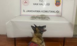 Van’da kubar esrar ele geçirildi, 1 kişi gözaltına alındı!
