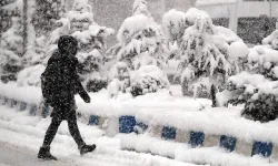 Van’da kar yağışı kaç gün etkili olacak? Meteoroloji tarih verdi!