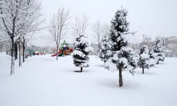 Cuma 50 ile kar geri geliyor! İşte kar beklenen şehirler…