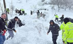 Van’da çığ faciası: 1 kişi kayıp, 22 ev boşaltıldı