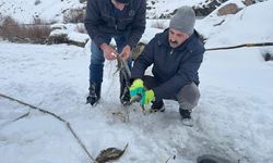Hakkari'de buz tutan Zap Suyu'nda balık avı