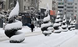 Van'da seyirlik kar manzaraları! İşte kartpostallık kar manzaraları…