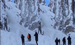 Van-Hakkari kara yolunda inen çığ görüntülendi