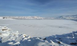 Sibirya soğukları Van'daki gölün yüzeyini dondurdu
