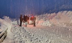 Van-Hakkari karayolunun iki ayrı noktasına çığ düştü!