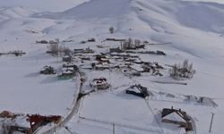 Zorlu kış şartlarında Van'da eşsiz kar manzaraları!