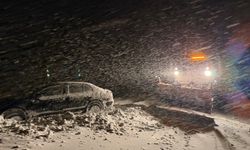 Van’da kontrolden çıkan otomobil kara saplandı!