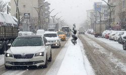 Van’a bereket yağıyor: Kent beyaza büründü!