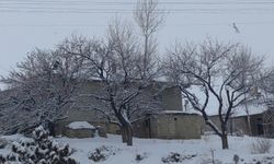 Van'ın sibirya soğukları esir aldı!