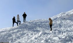 Van’da iki ayrı çığ düştü!
