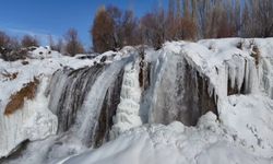 Van’ın doğal güzelliği buz tuttu!
