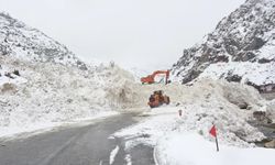 Van-Çatak yolu trafiğe kapatıldı