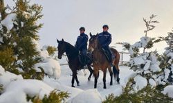 Van’da Atlı Jandarma birlikleri kaçak avcılığa geçit yok!