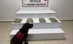 Van'da bir mahallede kubar esrar ele geçildi!