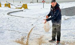 Van’da yaban hayvanları unutulmadı: Doğaya yem bırakıldı!