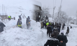 Van’da meydana gelen çığda hayatını kaybeden kadının kimliği belli oldu