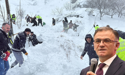 Çığ faciasının ardından Van Valisinden ilk açıklama!