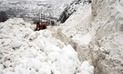 Van’ın Hakkari ile bağlantısı kesildi!