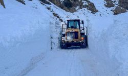 Van’da mahalleye çığ düştü, ekipler zamanla yarıştı!