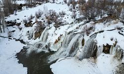 Van’ın gözdesi dondu!