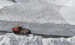 Van’da 6 yerleşim yeri ile bağlantı koptu! İşte kapalı yol bilgisi…