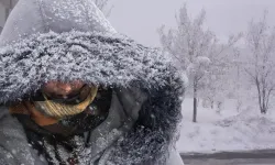 Van buz kesti: Van açık ara zirvede!