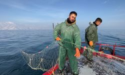 Van Gölü’nde av mesaisi devam ediyor!