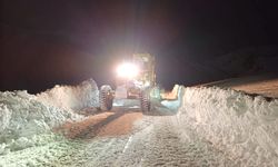 Van’da kaç yol ulaşıma kapalı? Van Büyükşehir Belediyesi açıkladı