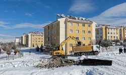 Van’da kaçak yapılar bir bir yıkılıyor