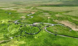 Van’daki yayla ve meralar dışarıdan kiralamaya kapatıldı!