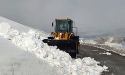 Van'da kar nedeniyle 25 yerleşim yerinin yolu kapalı!
