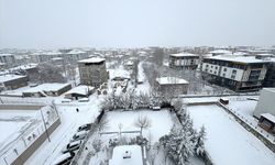 Baharı bekleyen Van'a kar sürprizi!