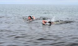 Fenomen isim dondurucu soğukta Van Gölü'nde yüzdü!