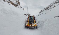 Hakkari-Çukurca yolunda çığ paniği!