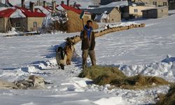 Van’da kar altından zorlu yaşam!