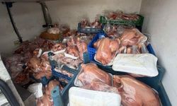 Van'da sağlıksız 200 tavuk ele geçirildi!